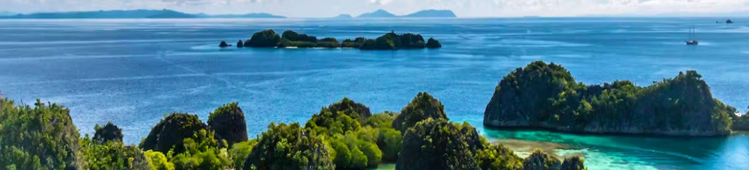 Banner Raja Ampat