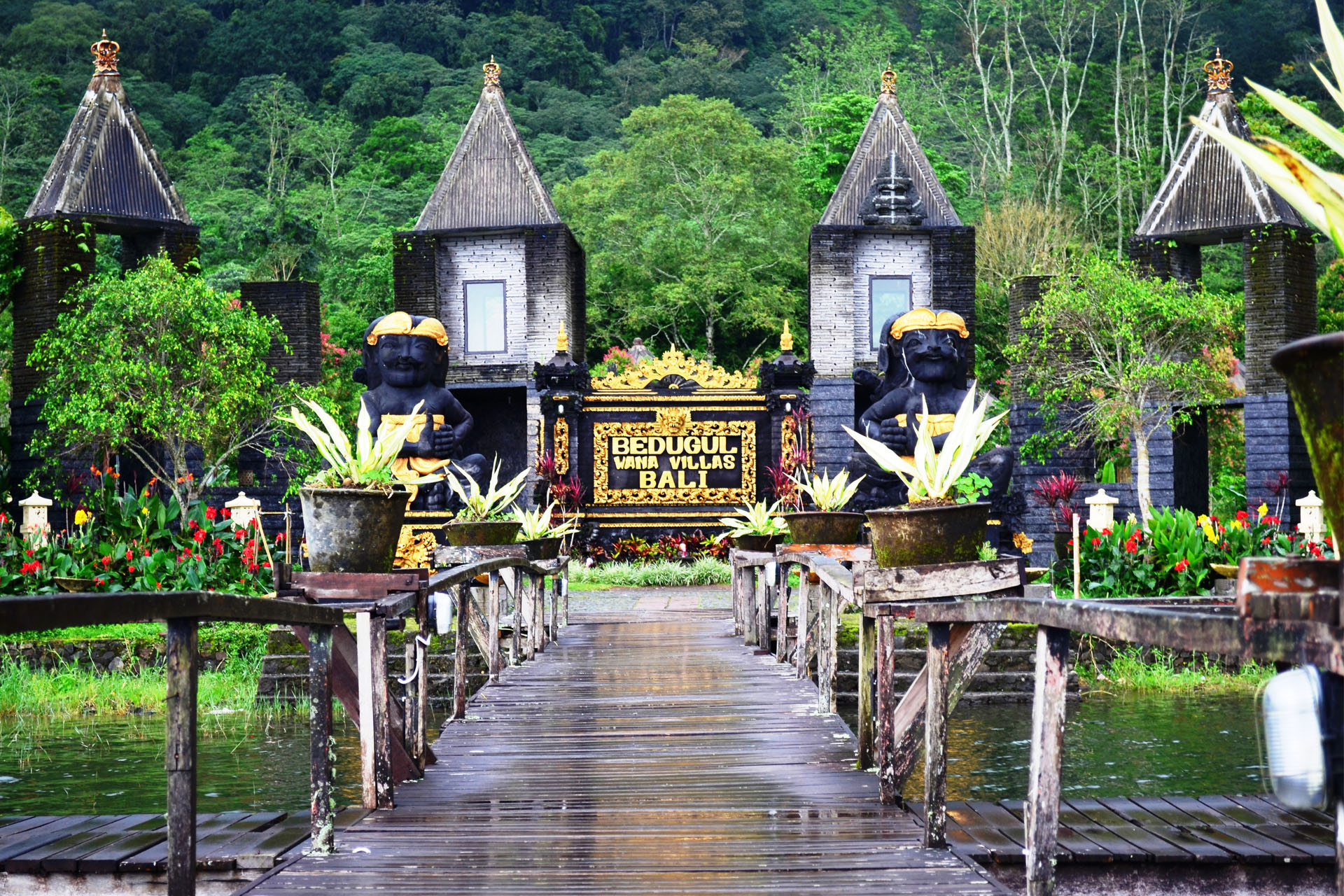 Bedugul 01