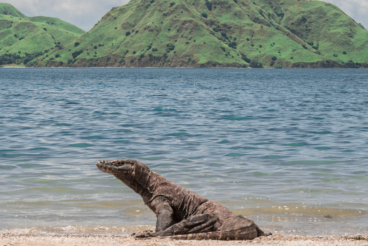Labuan Bajo 07